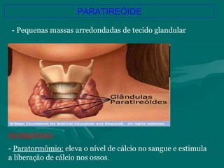 PARATIREÓIDE
HORMÔNIO:
- Paratormômio: eleva o nível de cálcio no sangue e estimula
a liberação de cálcio nos ossos.
- Pequenas massas arredondadas de tecido glandular
 