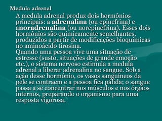 Medula adrenalMedula adrenal
A medula adrenal produz dois hormôniosA medula adrenal produz dois hormônios
principais: aprincipais: a adrenalinaadrenalina (ou epinefrina) e(ou epinefrina) e
aanoradrenalinanoradrenalina (ou norepinefrina). Esses dois(ou norepinefrina). Esses dois
hormônios são quimicamente semelhantes,hormônios são quimicamente semelhantes,
produzidos a partir de modificações bioquímicasproduzidos a partir de modificações bioquímicas
no aminoácido tirosina.no aminoácido tirosina.
Quando uma pessoa vive uma situação deQuando uma pessoa vive uma situação de
estresse (susto, situações de grande emoçãoestresse (susto, situações de grande emoção
etc.), o sistema nervoso estimula a medulaetc.), o sistema nervoso estimula a medula
adrenal a liberar adrenalina no sangue. Sob aadrenal a liberar adrenalina no sangue. Sob a
ação desse hormônio, os vasos sanguíneos daação desse hormônio, os vasos sanguíneos da
pele se contraem e a pessoa fica pálida; o sanguepele se contraem e a pessoa fica pálida; o sangue
passa a se concentrar nos músculos e nos órgãospassa a se concentrar nos músculos e nos órgãos
internos, preparando o organismo para umainternos, preparando o organismo para uma
resposta vigorosa.resposta vigorosa.
 