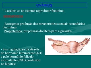 OVÁRIOS
- Sua regulação se dá através
do hormônio luteinizante (LH)
e pelo hormônio folículo
estimulante (FSH) produzido
na hipófise.
- Localiza-se no sistema reprodutor feminino.
HORMÔNIOS
Estrógeno: produção das características sexuais secundárias
femininas
Progesterona: preparação do útero para a gravidez.
 