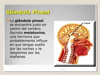 Glándula PinealGlándula Pineal
La glándula pineal
se encuentra justo en
centro del cerebro.
Secreta melatonina,
una hormona que
probablemente influye
en que tengas sueño
por las noches y te
despiertes por las
mañanas.
27/08/13 53
 