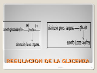 REGULACION DE LA GLICEMIAREGULACION DE LA GLICEMIA
27/08/13 57
 