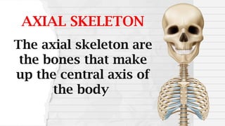 AXIAL SKELETON
The axial skeleton are
the bones that make
up the central axis of
the body
 