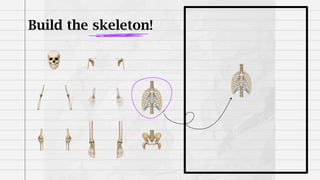 Build the skeleton!
 