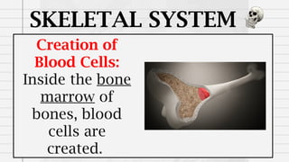 SKELETAL SYSTEM
Creation of
Blood Cells:
Inside the bone
marrow of
bones, blood
cells are
created.
 