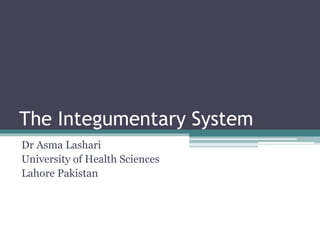 The Integumentary System
Dr Asma Lashari
University of Health Sciences
Lahore Pakistan
 