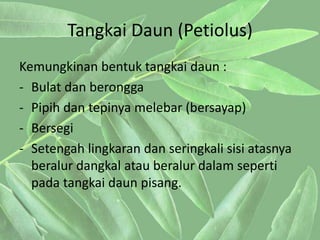 PPT Morfologi Tumbuhan - Daun dan Bangun Daun | PPTX