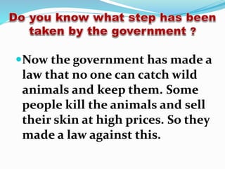 Now the government has made a
law that no one can catch wild
animals and keep them. Some
people kill the animals and sell
their skin at high prices. So they
made a law against this.
 