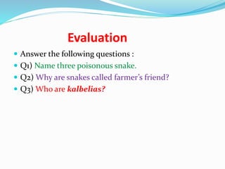 Evaluation
 Answer the following questions :
 Q1) Name three poisonous snake.
 Q2) Why are snakes called farmer’s friend?
 Q3) Who are kalbelias?
 