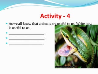 Activity - 4
 As we all know that animals are useful to us. Write how
is useful to us.
 ____________________.
 ____________________.
 ___________________ .
 
