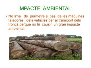 IMPACTE AMBIENTAL:
● No s'ha de permetre el pas de les màquines
taladores i dels vehicles per al transport dels
troncs perquè no hi causin un gran impacte
ambiental.
 