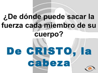 ¿De dónde puede sacar la
fuerza cada miembro de su
         cuerpo?

 De CRISTO, la
    cabeza
 