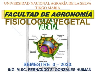 ING. M.SC. FERNANDO S. GONZALES HUIMAN
FISIOLOGÍA VEGETAL
UNIVERSIDAD NACIONAL AGRARÍA DE LA SELVA
TINGO MARÍA
SEMESTRE 0 – 2023.
 