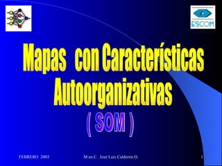 Mapas  con Características Autoorganizativas ( SOM ) 