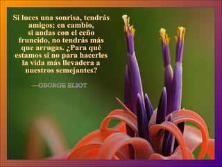 Si luces una sonrisa, tendrás amigos; en cambio, si andas con el ceño fruncido, no tendrás más que arrugas. ¿Para qué estamos si no para hacerles la vida más llevadera a nuestros semejantes? —GEORGE ELIOT 
