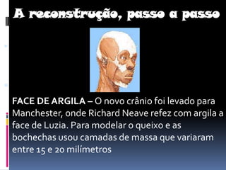  A reconstrução, passo a passoFACE DE ARGILA – O novo crânio foi levado para Manchester, onde Richard Neave refez com argila a face de Luzia. Para modelar o queixo e as bochechas usou camadas de massa que variaram entre 15 e 20 milímetros 