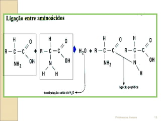Professora Ionara 13
 