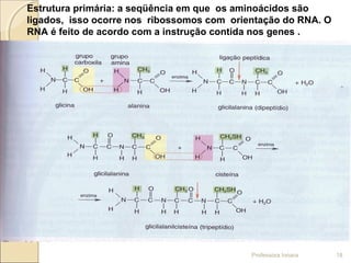 Estrutura primária: a seqüência em que os aminoácidos são
ligados, isso ocorre nos ribossomos com orientação do RNA. O
RNA é feito de acordo com a instrução contida nos genes .
Professora Ionara 18
 