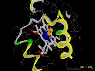 A estrutura espacialA estrutura espacial
tridimensional das proteínastridimensional das proteínas
determina a função de cadadetermina a função de cada
proteínaproteína
Professora Ionara 19
 