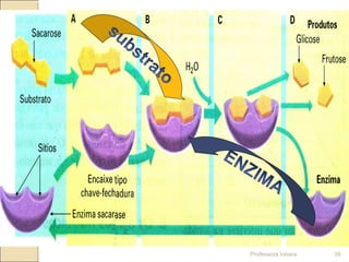 Professora Ionara 39
 
