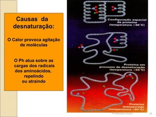 Causas da
desnaturação:
O Calor provoca agitação
de moléculas
O Ph atua sobre as
cargas dos radicais
dos aminoácidos,
repelindo
ou atraindo
Professora Ionara 42
 