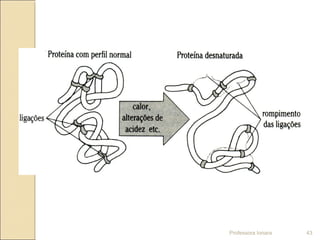 Professora Ionara 43
 