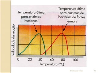 Professora Ionara 46
 