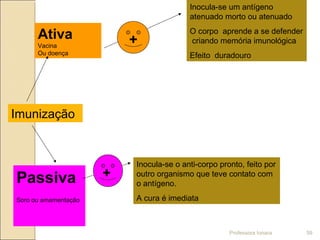 Imunização
Ativa
Vacina
Ou doença
Passiva
Soro ou amamentação
Inocula-se um antígeno
atenuado morto ou atenuado
O corpo aprende a se defender
criando memória imunológica
Efeito duradouro
Inocula-se o anti-corpo pronto, feito por
outro organismo que teve contato com
o antígeno.
A cura é imediata
+
+
Professora Ionara 59
 