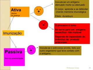Imunização
Ativa
Vacina
Ou doença
Passiva
Soro ou amamentação
Inocula-se um antígeno
atenuado morto ou atenuado
O corpo aprende a se defender
criando memória imunológica
Efeito duradouro
O processo é lento
Só serve para um antígeno
específico- não mutável
Depende da capacidade do
indivíduo de produzir
anticorpos
Inocula-se o anti-corpo pronto, feito por
outro organismo que teve contato com
o antígeno.
+
-
+
Professora Ionara 60
 