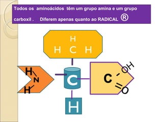 N C
H
H
H
=o
-OH
H
H C H
Todos os aminoácidos têm um grupo amina e um grupo
carboxil . Diferem apenas quanto ao RADICAL ®
 