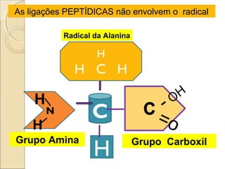As ligações PEPTÍDICAS não envolvem o radical
Radical da Alanina
N C
H
H
H
=o
-OH
H
H C H
Grupo CarboxilGrupo Amina
 