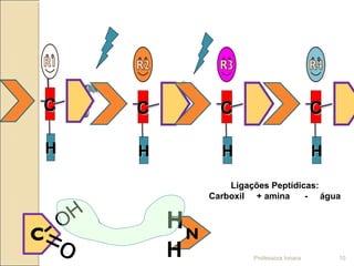 Professora Ionara 10
Ligações Peptídicas:
Carboxil + amina - água
CC
HH
N
H
H=o
-OH
CC
HH
CC
HH
CC
HH
 