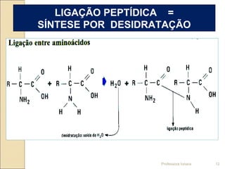 LIGAÇÃO PEPTÍDICA =
SÍNTESE POR DESIDRATAÇÃO
Professora Ionara 12
 