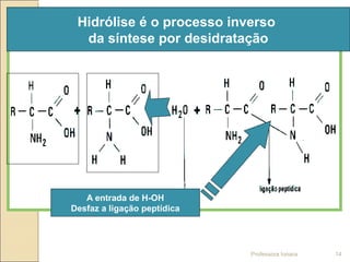 Hidrólise é o processo inverso
da síntese por desidratação
A entrada de H-OH
Desfaz a ligação peptídica
Professora Ionara 14
 