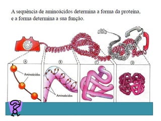 Professora Ionara 25
 