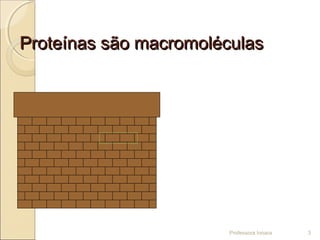 Proteínas são macromoléculasProteínas são macromoléculas
Professora Ionara 3
 