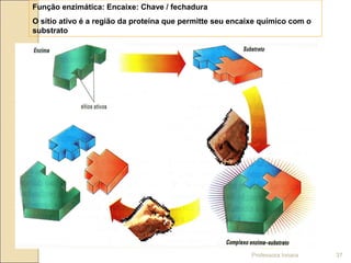 Função enzimática: Encaixe: Chave / fechadura
O sítio ativo é a região da proteína que permitte seu encaixe químico com o
substrato
Professora Ionara 37
 