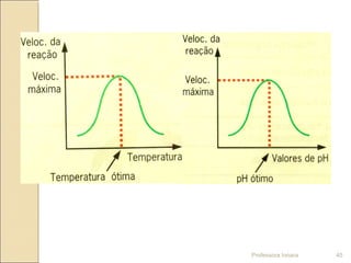 Professora Ionara 45
 