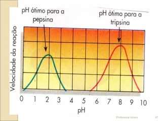 Professora Ionara 47
 