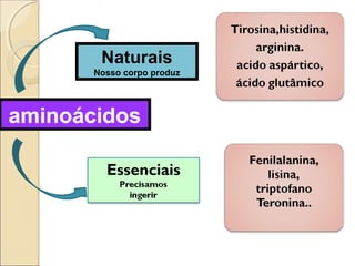 Naturais
Nosso corpo produz
aminoácidos
 