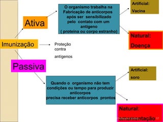 Imunização
O organismo trabalha na
Fabricação de anticorpos
após ser sensibilizado
pelo contato com um
antígeno
( proteína ou corpo estranho)
Quando o organismo não tem
condições ou tempo para produzir
anticorpos
precisa receber anticorpos prontos
Ativa
Passiva
Proteção
contra
antígenos
Artificial:
Vacina
Natural:
Doença
Artificial:
soro
Natural:
amamentaçãoProfessora Ionara 57
 