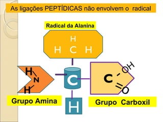 As ligações PEPTÍDICAS não envolvem o radical
Radical da Alanina
N C
H
H
H
=o
-OH
H
H C H
Grupo CarboxilGrupo Amina
 