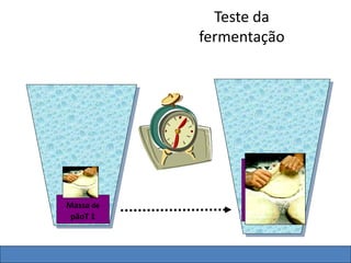 Teste da
fermentação
Massa de
pãoT 1
Massa de
pão
T2
 