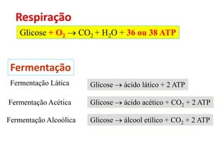 Fermentação
Glicose  ácido lático + 2 ATPFermentação Lática
Glicose  álcool etílico + CO2 + 2 ATPFermentação Alcoólica
Glicose  ácido acético + CO2 + 2 ATPFermentação Acética
Glicose + O2  CO2 + H2O + 36 ou 38 ATP
Respiração
 