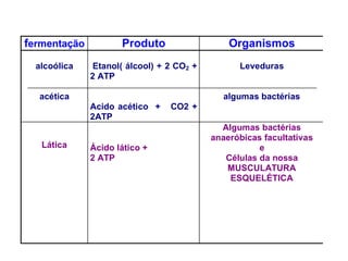fermentação Produto Organismos
alcoólica
acética
Etanol( álcool) + 2 CO2 +
2 ATP
Acido acético + CO2 +
2ATP
Leveduras
algumas bactérias
Lática Ácido lático +
2 ATP
Algumas bactérias
anaeróbicas facultativas
e
Células da nossa
MUSCULATURA
ESQUELÉTICA
 