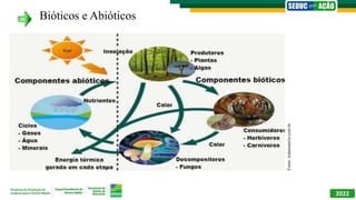 Semana 01 - Biologia - 1ª Série - Biodiversidade