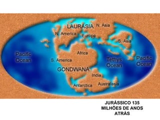 JURÁSSICO 135
MILHÕES DE ANOS
ATRÁS
 
