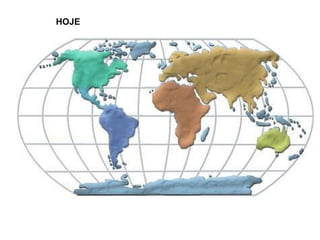HOJE
 