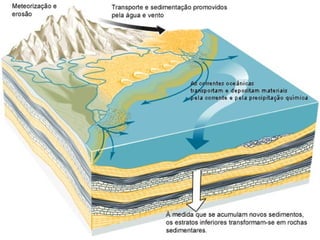 1ª série e.m benec11