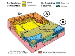 1ª série e.m benec11