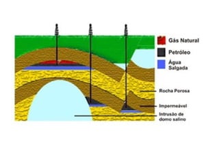 1ª série e.m benec11